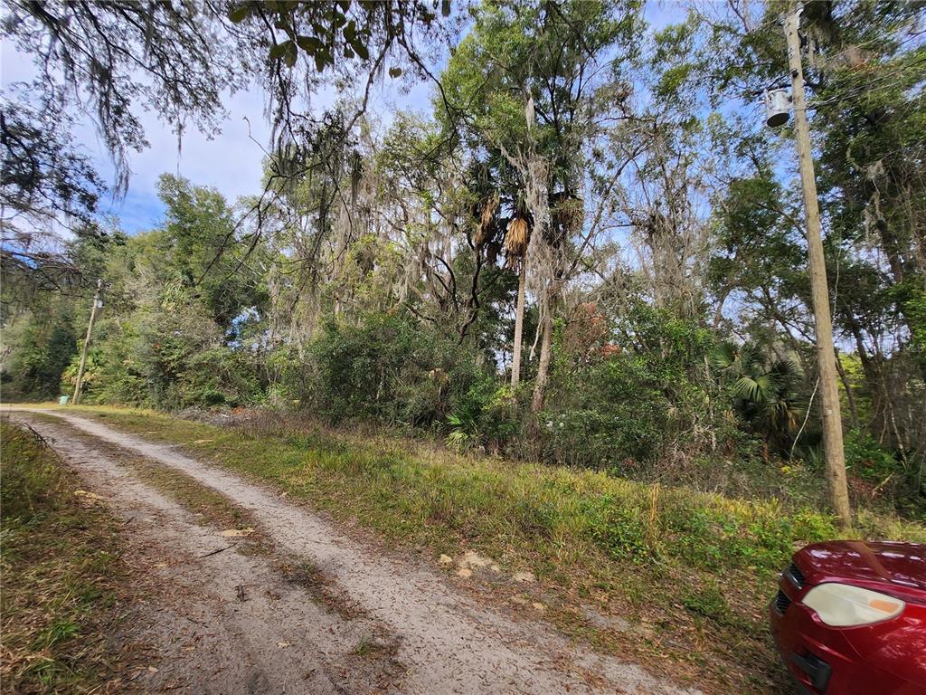 Property for sale at TBD NE 164TH PLACE, CITRA, FL, 32113