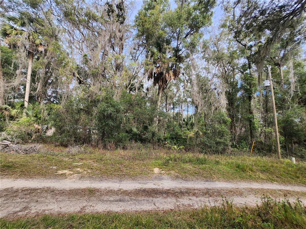 Property for sale at TBD NE 164TH PLACE, CITRA, FL, 32113