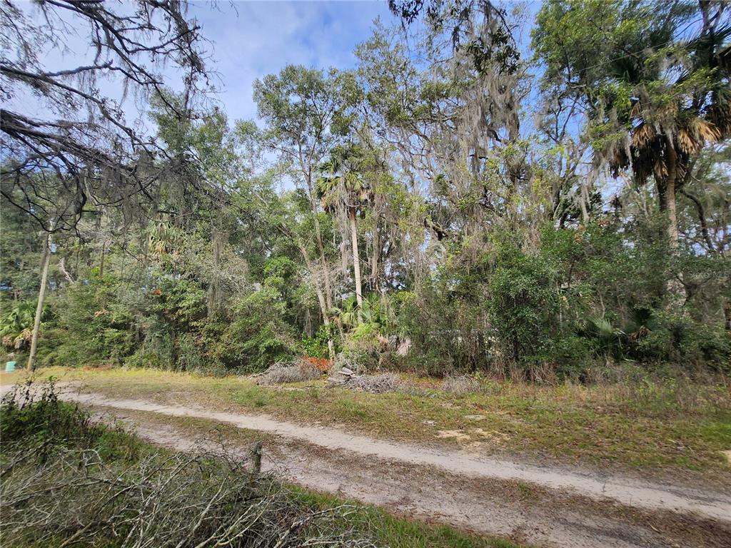 Property for sale at TBD NE 164TH PLACE, CITRA, FL, 32113