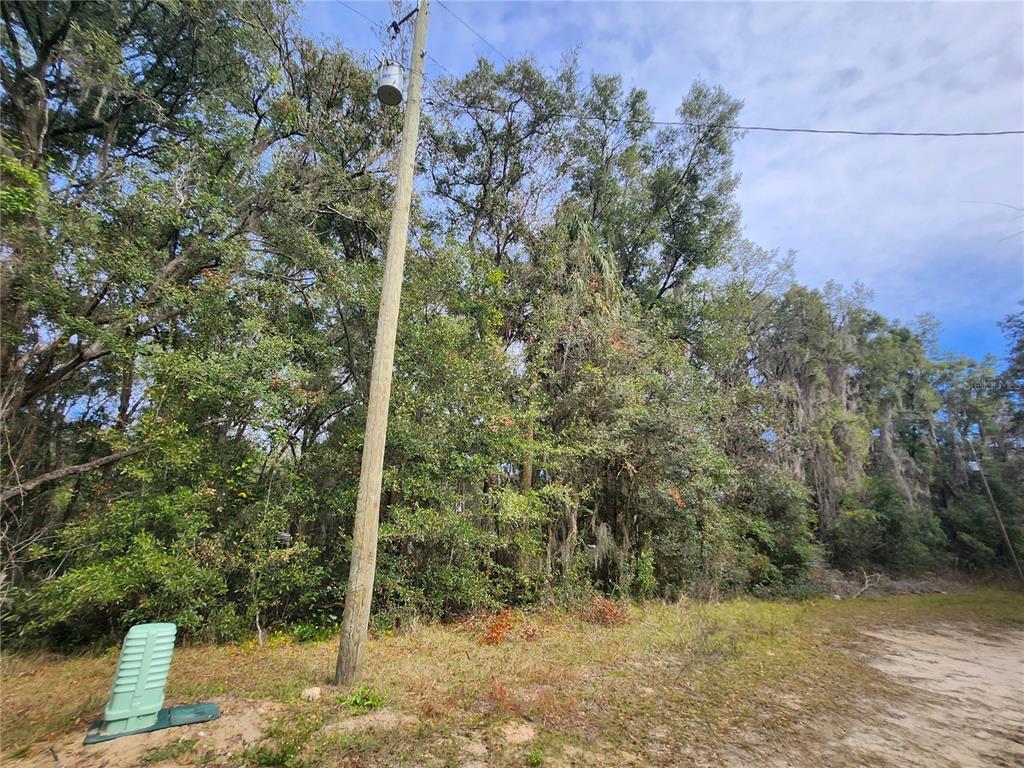 Property for sale at TBD NE 164TH PLACE, CITRA, FL, 32113