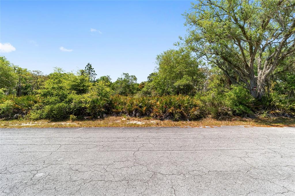 Property for sale at 12577 W ROSEMARY PLACE, CRYSTAL RIVER, FL, 34428