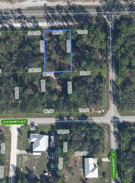 Property for sale at 3226 LAKE JUNE BOULEVARD, LAKE PLACID, FL, 33852