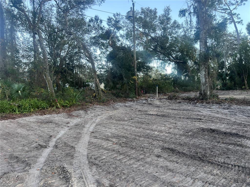 Property for sale at 436 HUNTINGTON SHORTCUT ROAD, POMONA PARK, FL, 32181