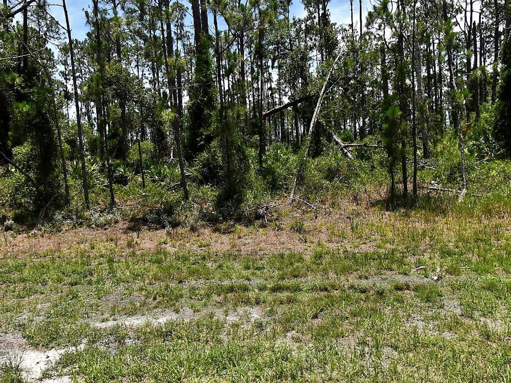 Property for sale at TROPICAIRE BOULEVARD, NORTH PORT, FL, 34291