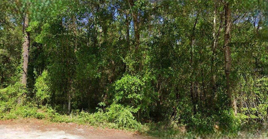 Property for sale at NE 6TH LANE ROAD, SILVER SPRINGS, FL, 34488
