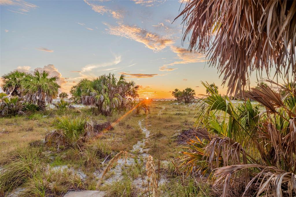Prime lot location