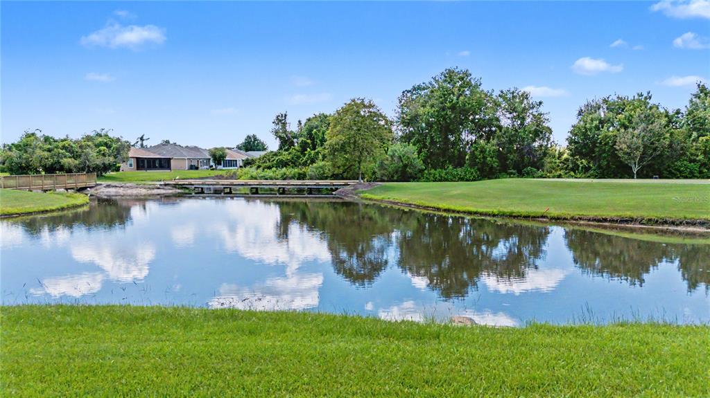Property for sale at 10231 CLEGHORN DRIVE, SAN ANTONIO, FL, 33576