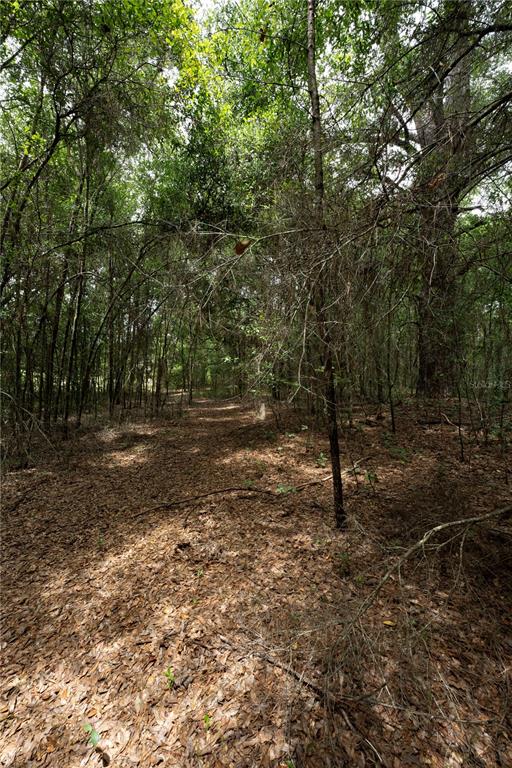 Property for sale at TBD SE 55TH STREET, MORRISTON, FL, 32668