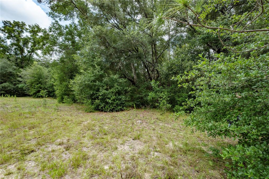 Property for sale at TBD SE 55TH STREET, MORRISTON, FL, 32668