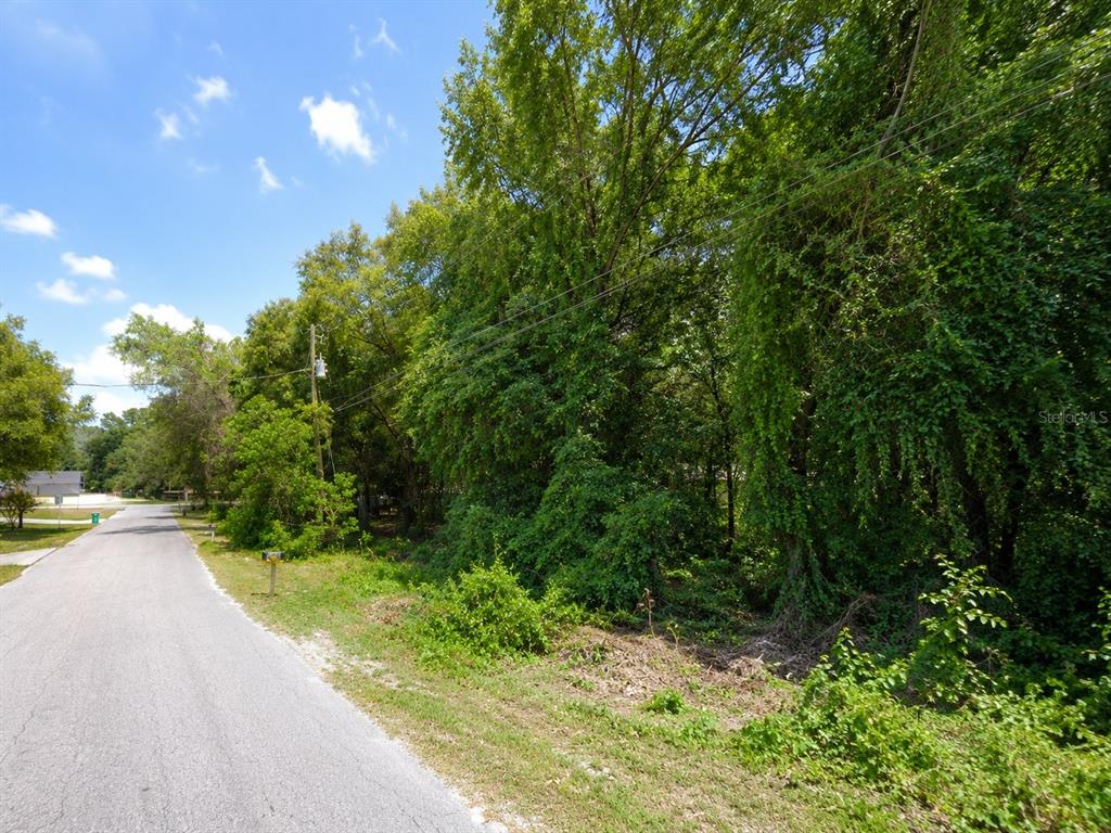 Property for sale at 6824 E FALCON REST LN, INVERNESS, FL, 34452
