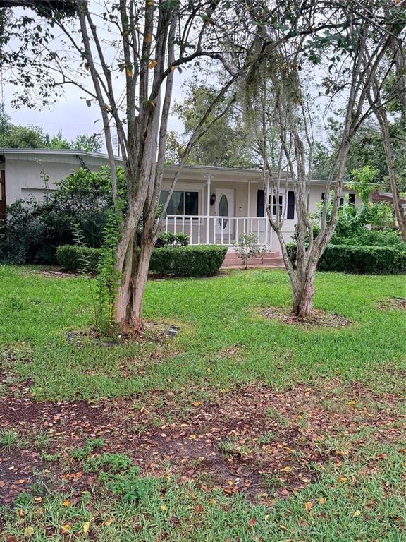 front yard