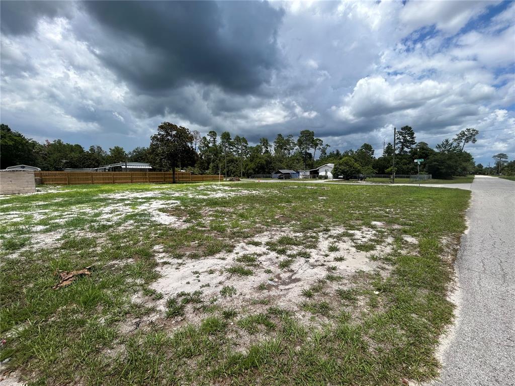 Property for sale at 28245 BOUGAINVILLEA AVENUE, PAISLEY, FL, 32767