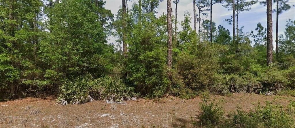 Property for sale at 148 ARDEN STREET, GEORGETOWN, FL, 32139