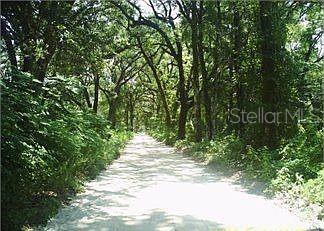 Property for sale at 148 ARDEN STREET, GEORGETOWN, FL, 32139
