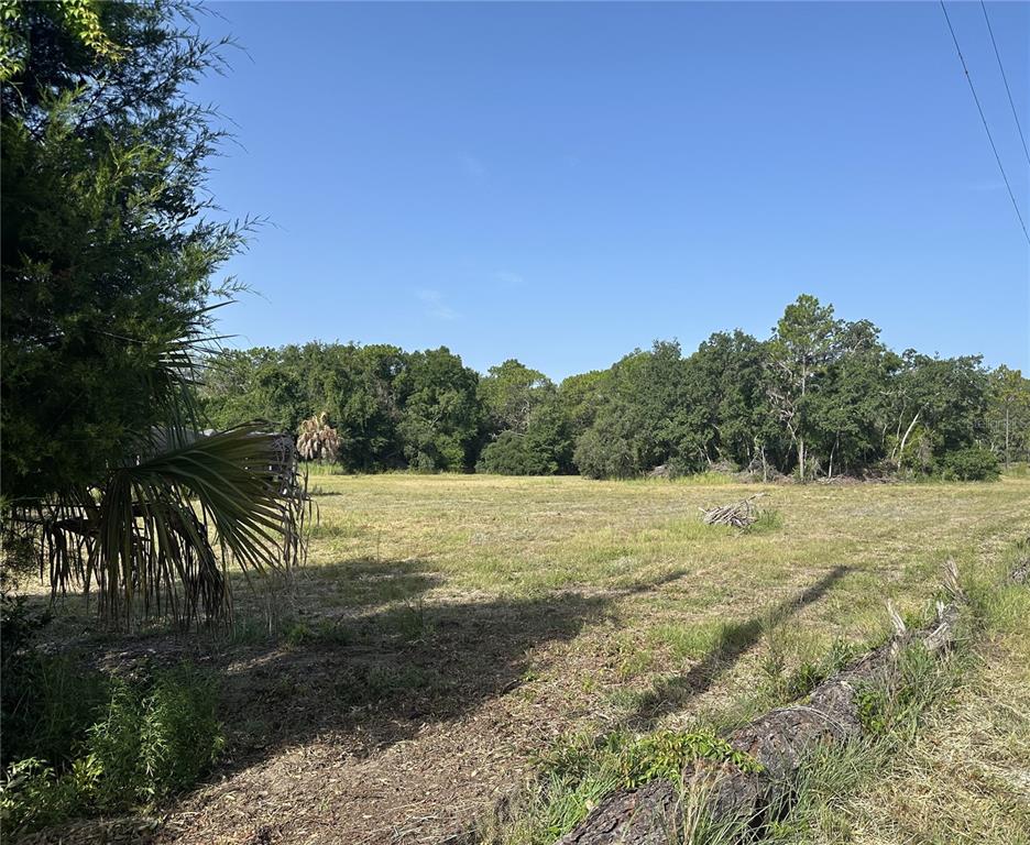 Property for sale at 11360 S FLORIDA AVENUE, FLORAL CITY, FL, 34436