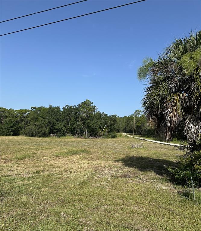 Property for sale at 11360 S FLORIDA AVENUE, FLORAL CITY, FL, 34436