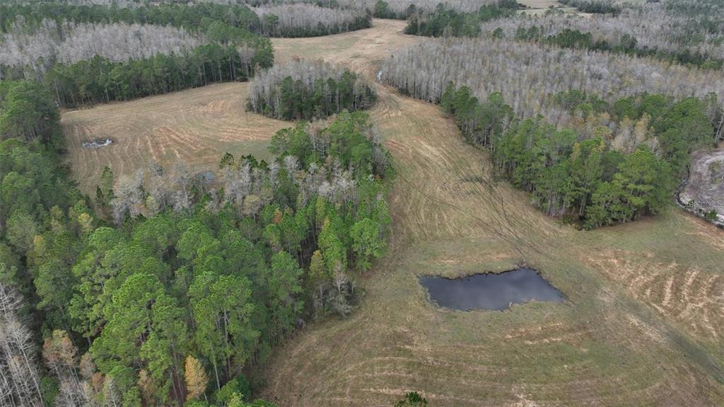 Property for sale at BERRY GROVES RD DRIVE, CLERMONT, FL, 34714