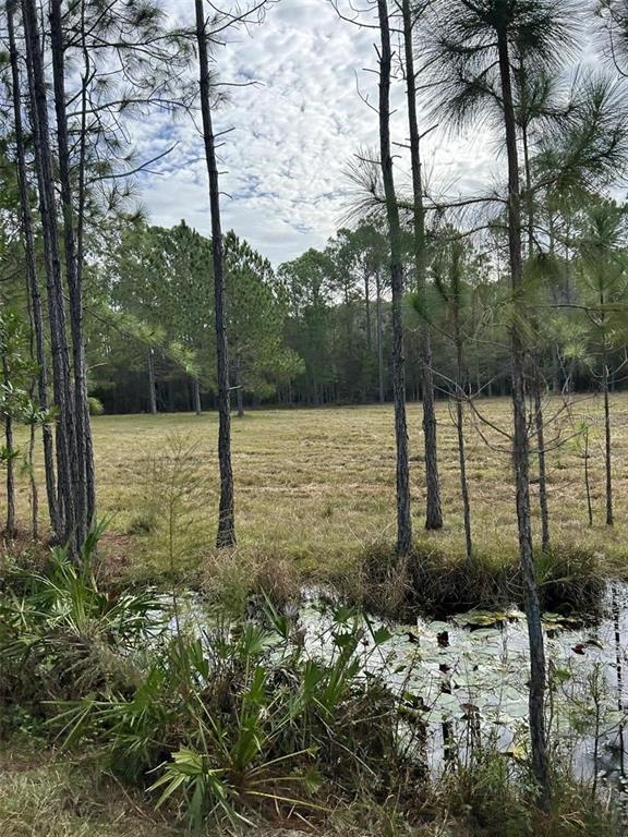 Property for sale at BERRY GROVES RD DRIVE, CLERMONT, FL, 34714