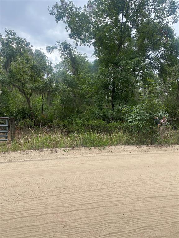 Property for sale at 0 MILLSTREAM DRIVE, GROVELAND, FL, 34736
