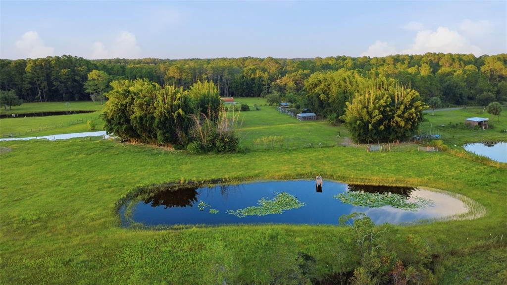 Property for sale at 615 DEER POND ROAD, OSTEEN, FL, 32764