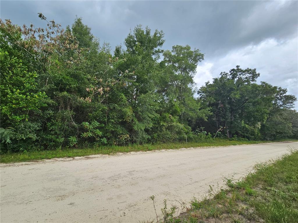 Property for sale at 0000 NE 141ST AVENUE, WILLISTON, FL, 32696