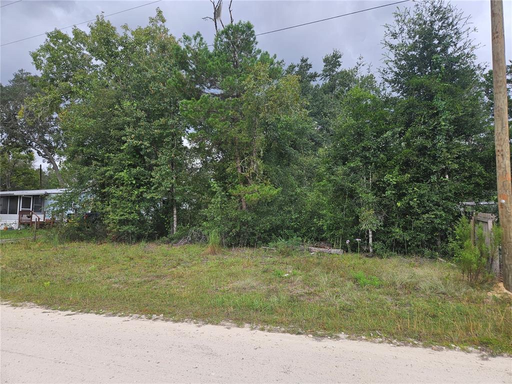 Property for sale at 0000 NE 141ST AVENUE, WILLISTON, FL, 32696