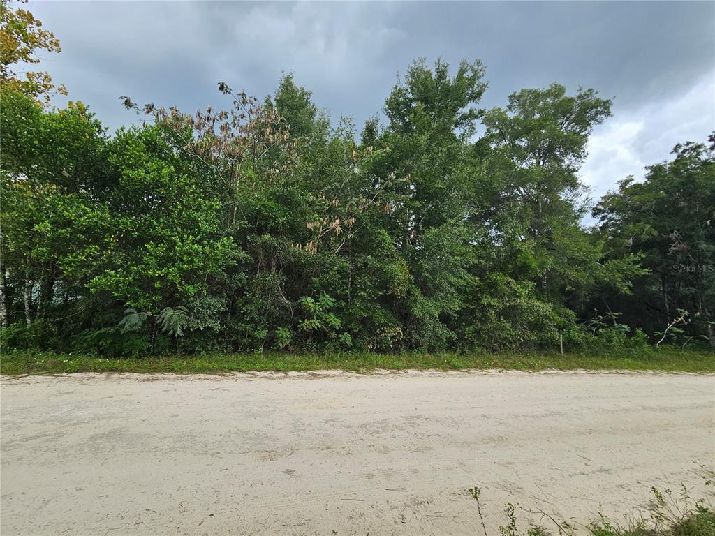 Property for sale at 0000 NE 141ST AVENUE, WILLISTON, FL, 32696