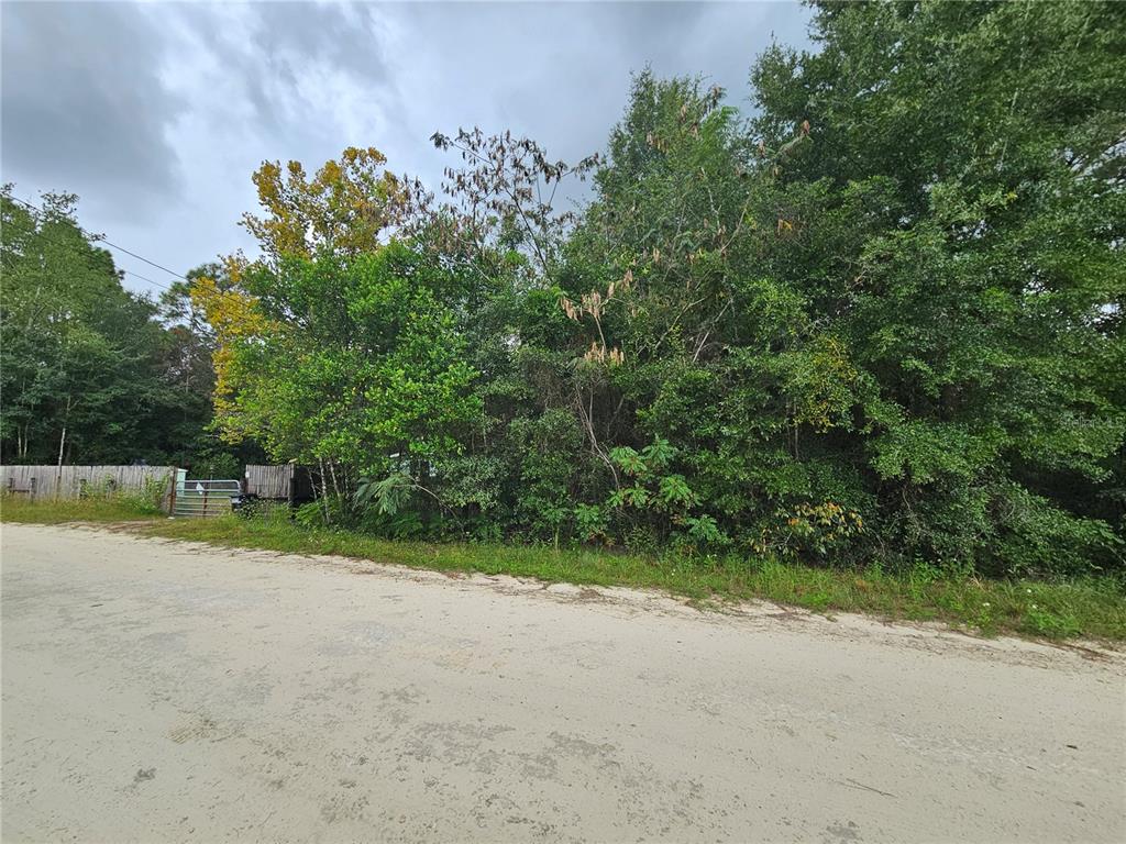 Property for sale at 0000 NE 141ST AVENUE, WILLISTON, FL, 32696