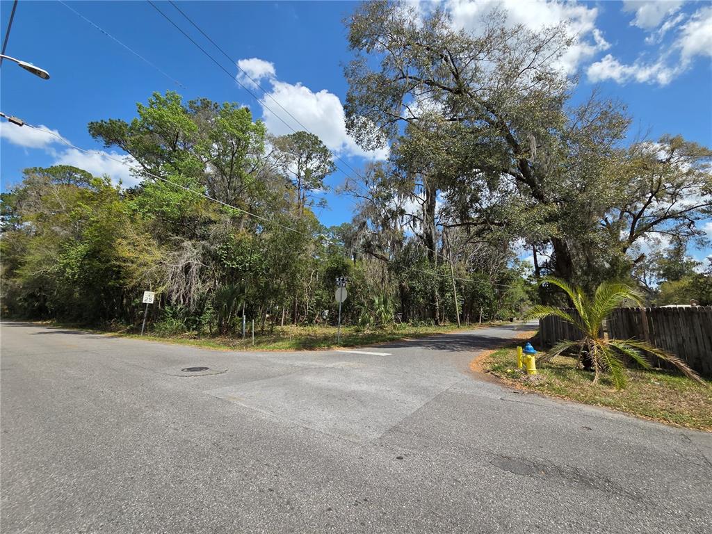 Corner of parcel, facing northeast