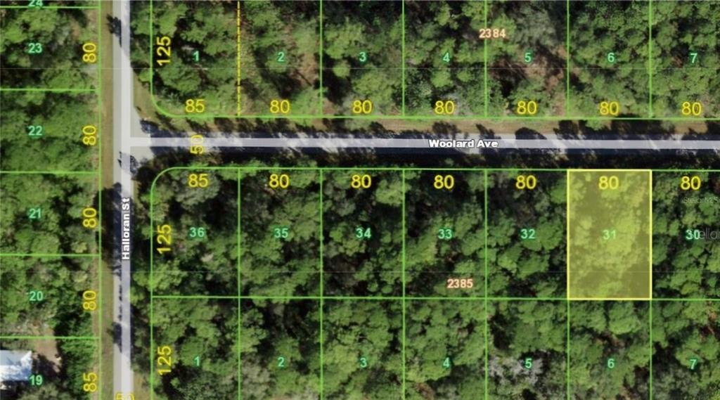 Property for sale at 13101 WOOLARD AVENUE, PORT CHARLOTTE, FL, 33953