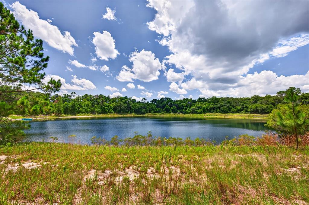 Property for sale at MALAUKA LOOP, OCKLAWAHA, FL, 32179