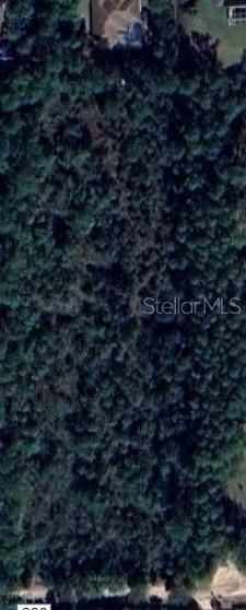 Property for sale at 451 COUNTY ROAD 330, BUNNELL, FL, 32110