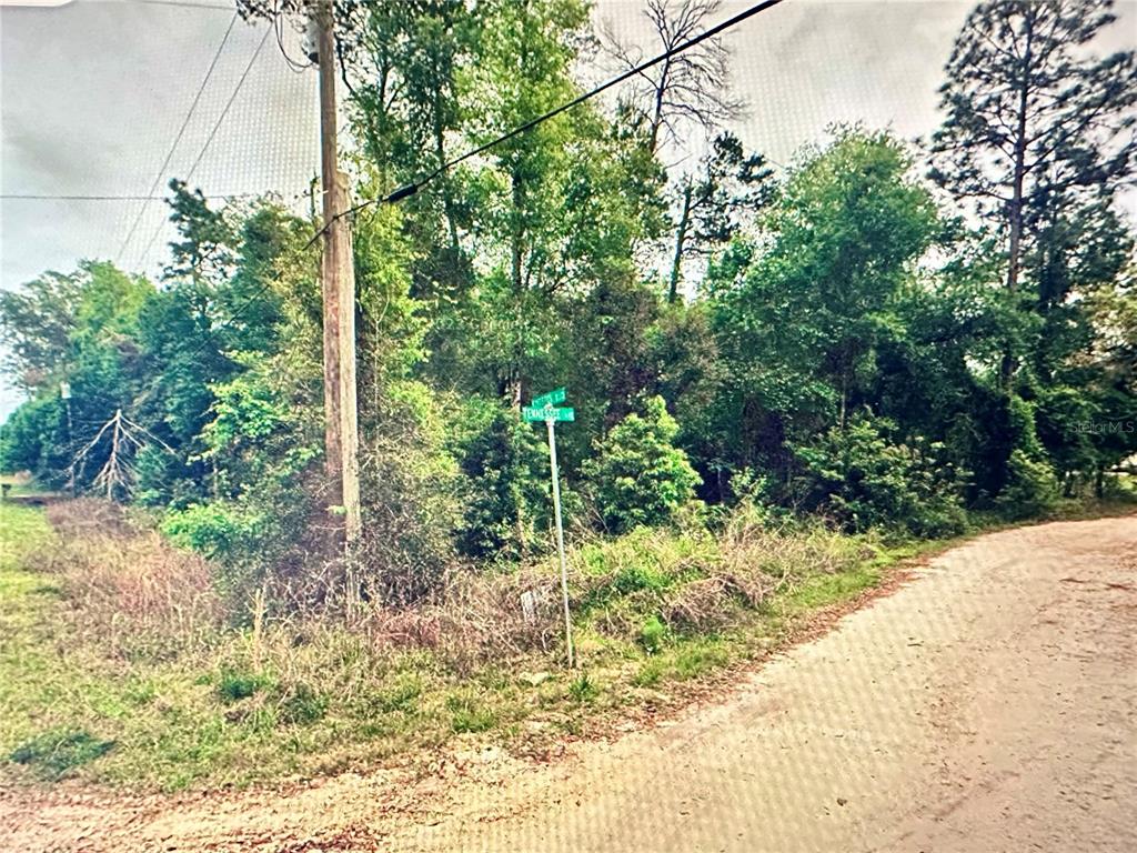 Property for sale at 219 KINGSTON BOULEVARD, SATSUMA, FL, 32189