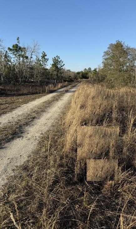 Property for sale at 0 NE 151ST AVENUE, WILLISTON, FL, 32696