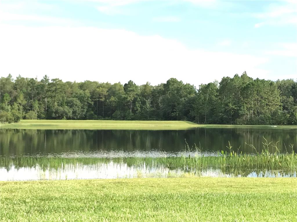 Property for sale at 1702 CYPRESS RIDGE DRIVE, ORLANDO, FL, 32825