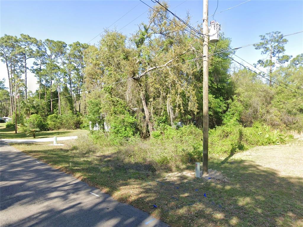 Property for sale at SE 178TH AVENUE, SILVER SPRINGS, FL, 34488