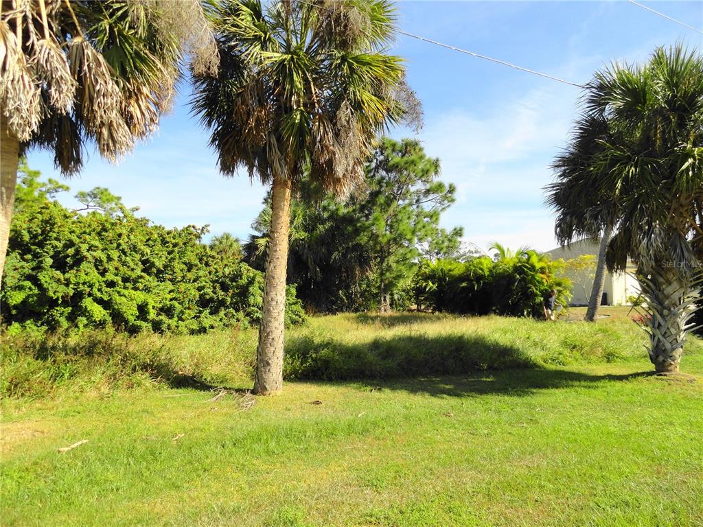Nice tropical wooded waterfront lot