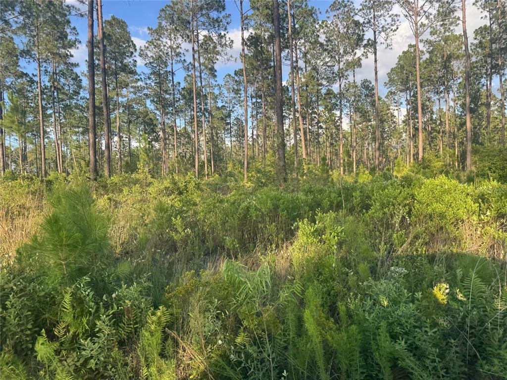 Property for sale at TBD NW CR 235, LAKE BUTLER, FL, 32054