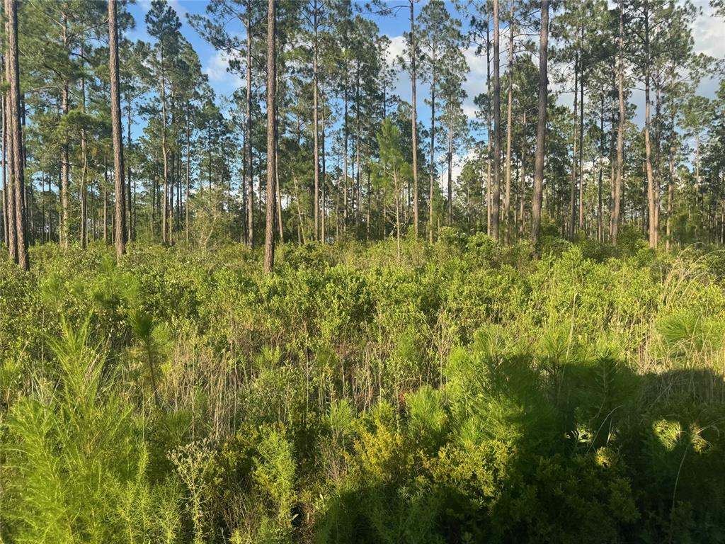 Property for sale at TBD NW CR 235, LAKE BUTLER, FL, 32054