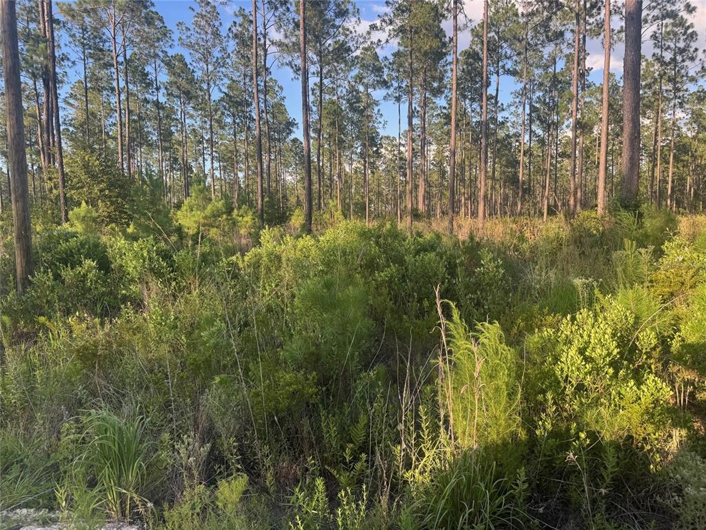 Property for sale at TBD NW CR 235, LAKE BUTLER, FL, 32054