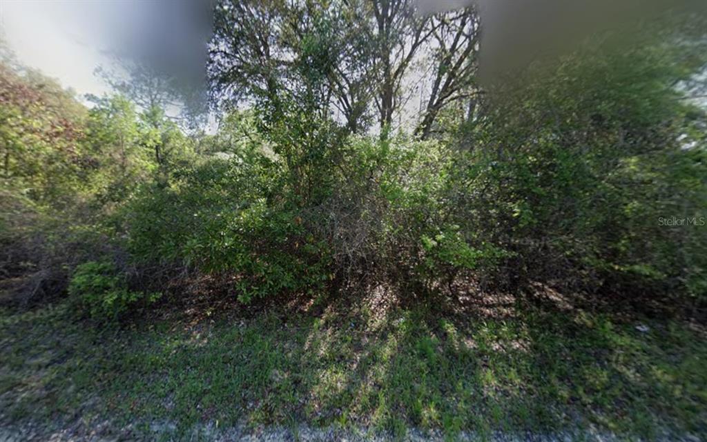 Property for sale at NE 799TH STREET, OLD TOWN, FL, 32680