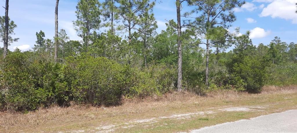Property for sale at 404 ALLAMANDA DRIVE, INDIAN LAKE ESTATES, FL, 33855