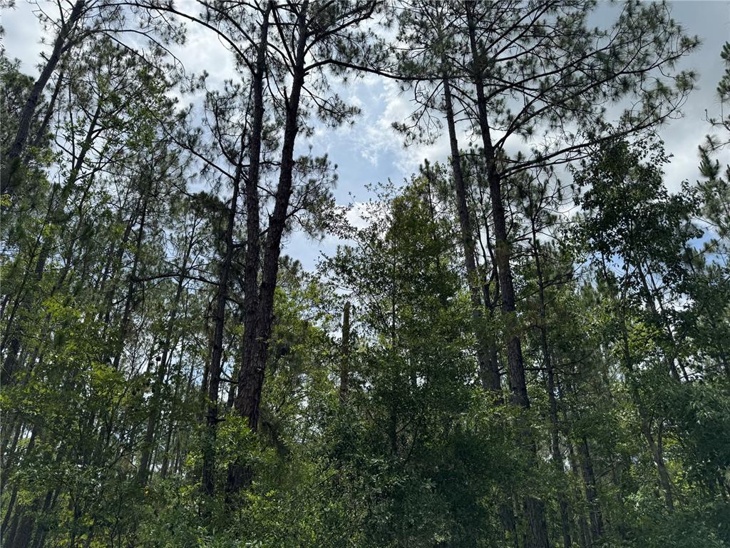Property for sale at SW 143 PLACE, OCALA, FL, 34473