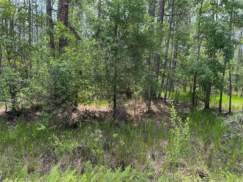 Property for sale at SW 143 PLACE, OCALA, FL, 34473