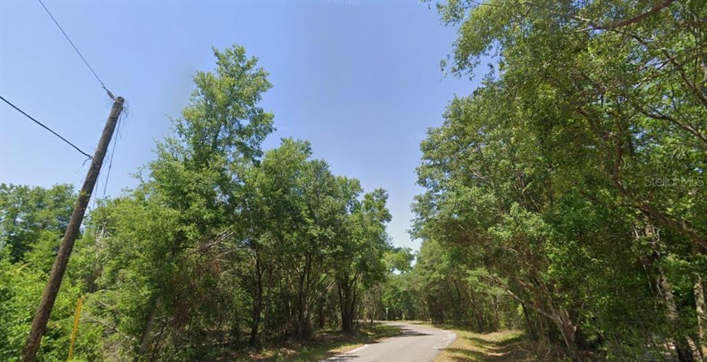 Property for sale at 77 BAY COURT PASS, OCKLAWAHA, FL, 32179