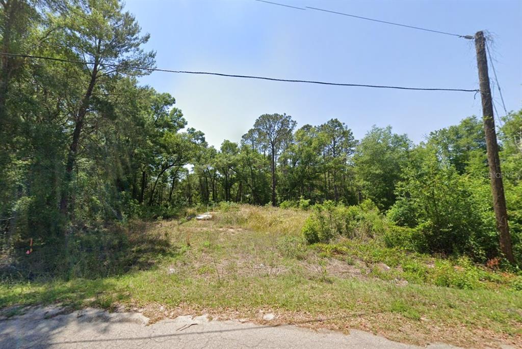 Property for sale at 77 BAY COURT PASS, OCKLAWAHA, FL, 32179