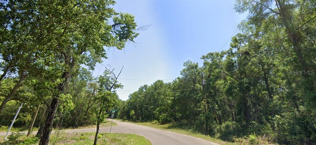 Property for sale at 77 BAY COURT PASS, OCKLAWAHA, FL, 32179