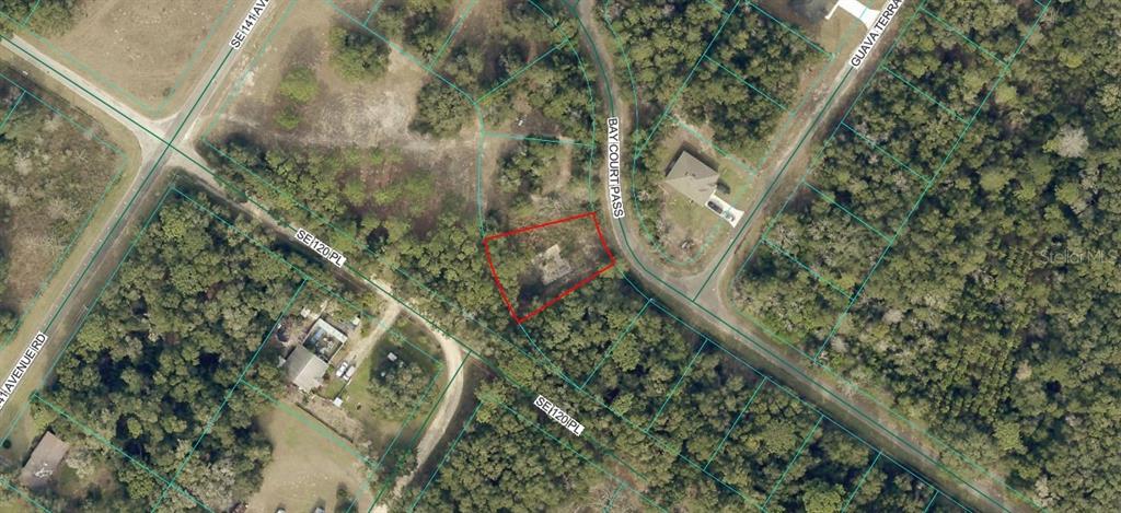 Property for sale at 77 BAY COURT PASS, OCKLAWAHA, FL, 32179