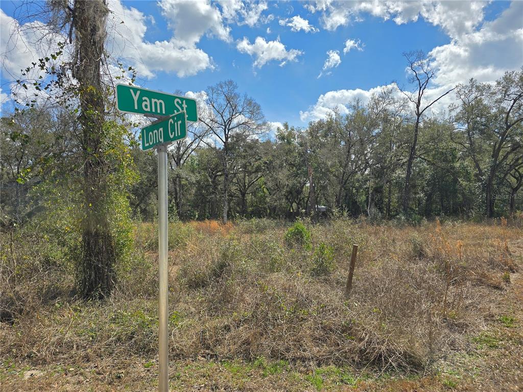 Property for sale at 6436 YAM STREET, WEBSTER, FL, 33597