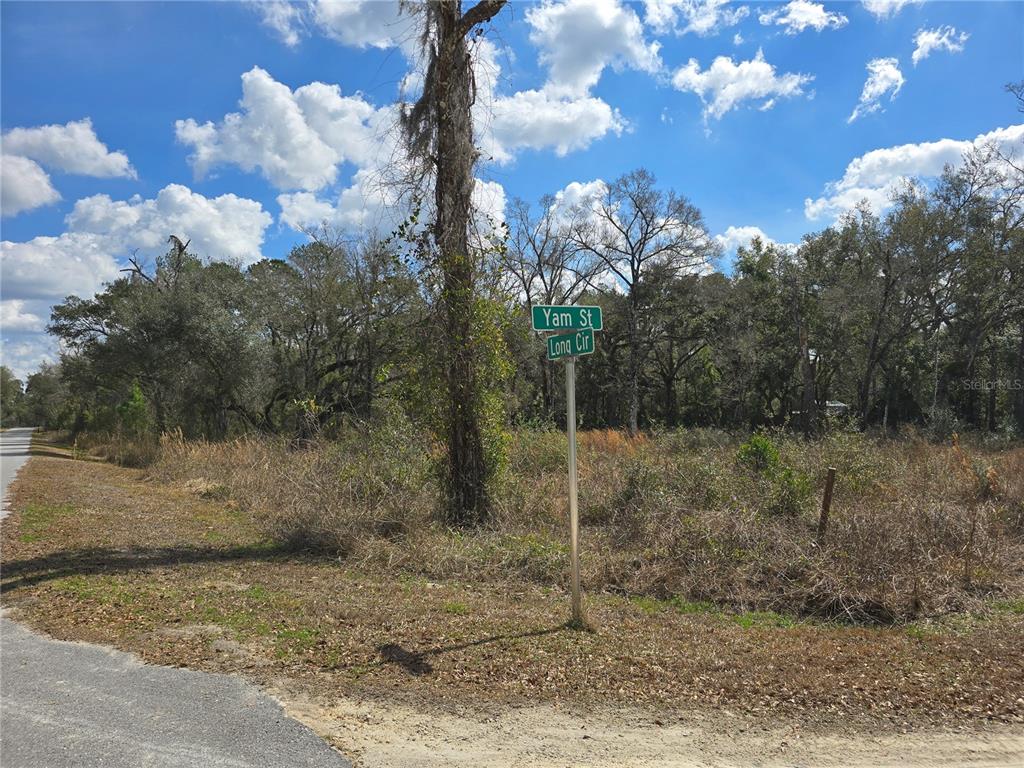 Property for sale at 6436 YAM STREET, WEBSTER, FL, 33597